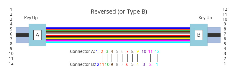 MTP� Trunk Cable Polarity Type B